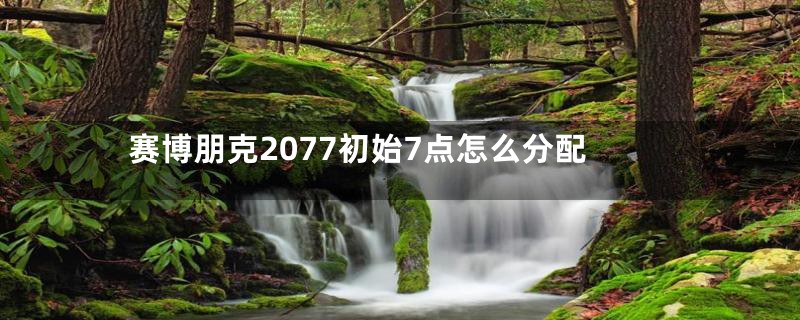 赛博朋克2077初始7点怎么分配
