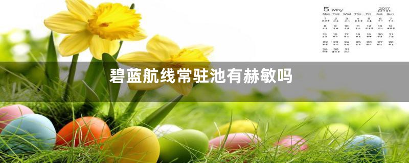 碧蓝航线常驻池有赫敏吗