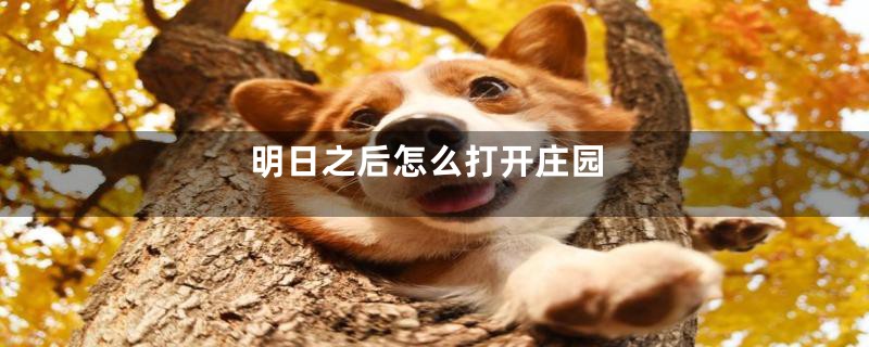 明日之后怎么打开庄园