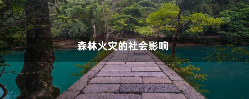 森林火灾的社会影响