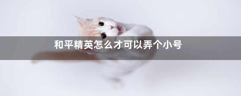 和平精英怎么才可以弄个小号