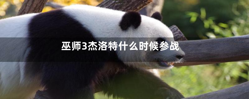 巫师3杰洛特什么时候参战