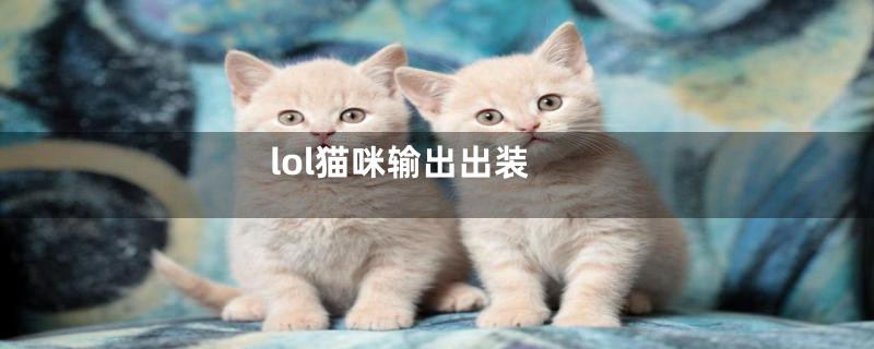 lol猫咪输出出装