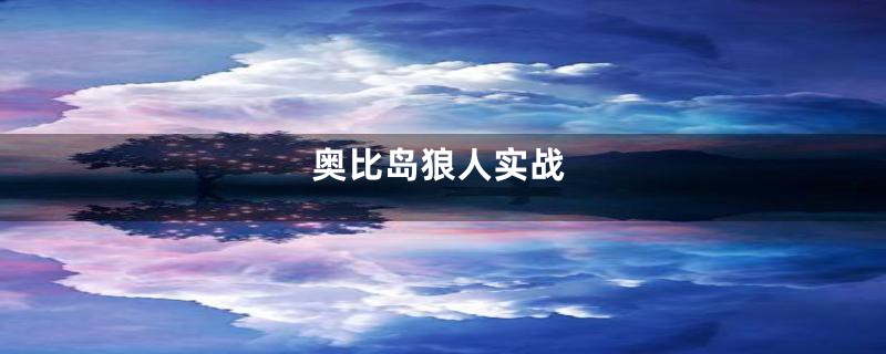 奥比岛狼人实战