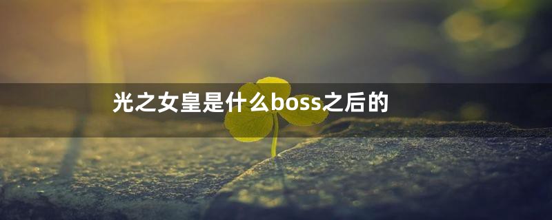 光之女皇是什么boss之后的