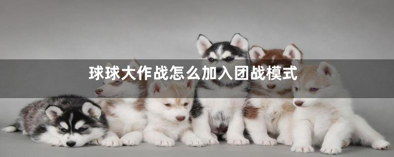 球球大作战怎么加入团战模式