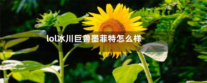 lol冰川巨兽墨菲特怎么样