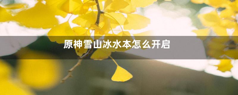 原神雪山冰水本怎么开启