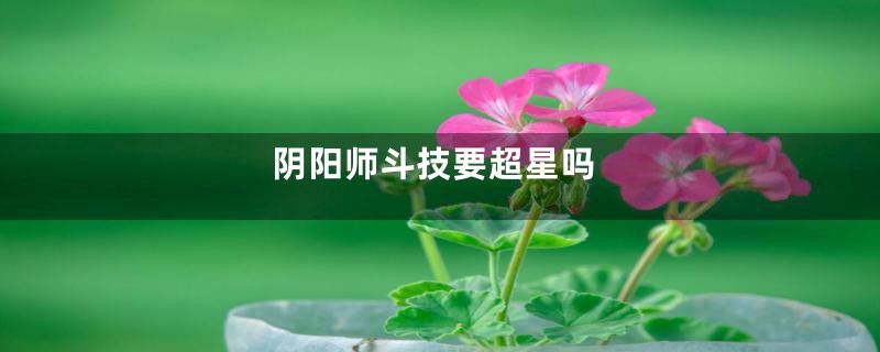 阴阳师斗技要超星吗