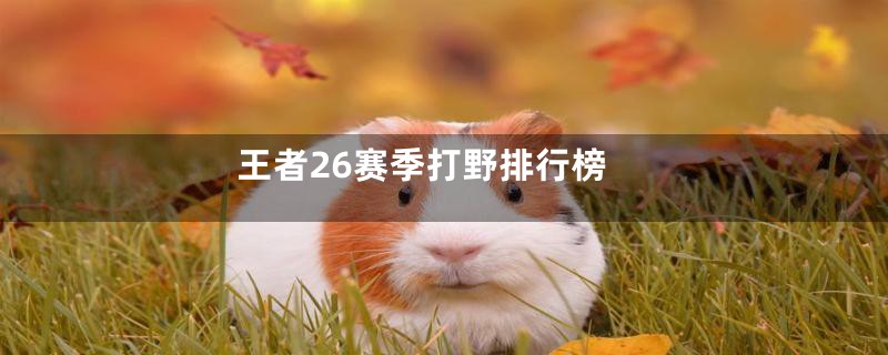 王者26赛季打野排行榜
