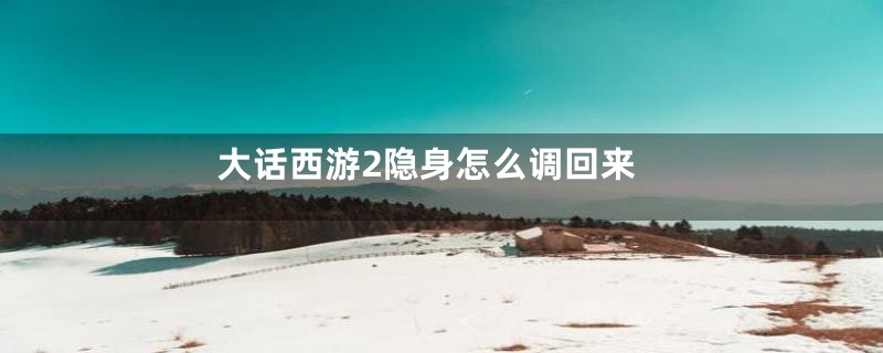 大话西游2隐身怎么调回来
