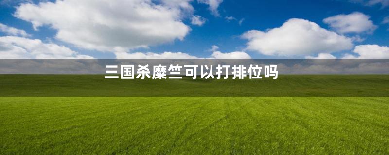 三国杀糜竺可以打排位吗
