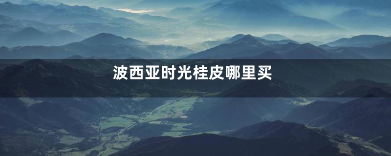 波西亚时光桂皮哪里买