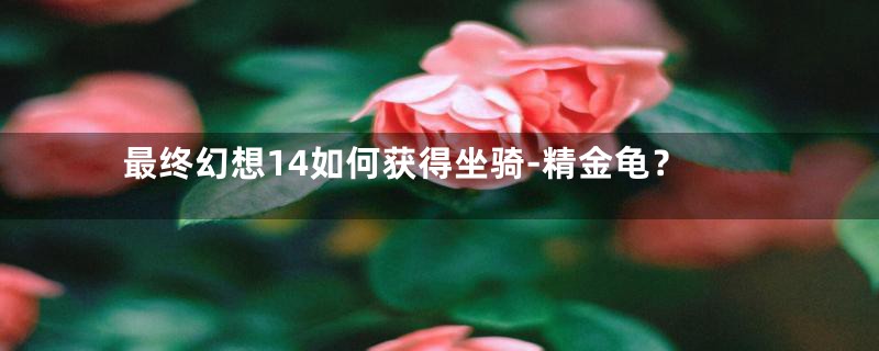 最终幻想14如何获得坐骑-精金龟？