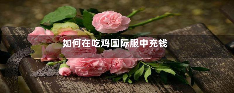 如何在吃鸡国际服中充钱