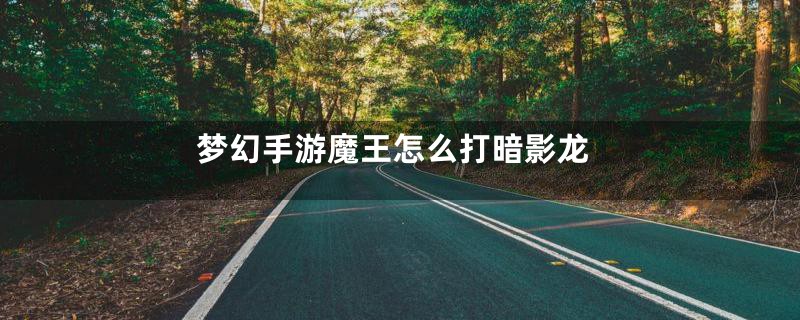 梦幻手游魔王怎么打暗影龙