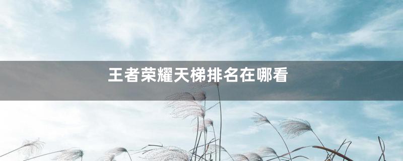 王者荣耀天梯排名在哪看