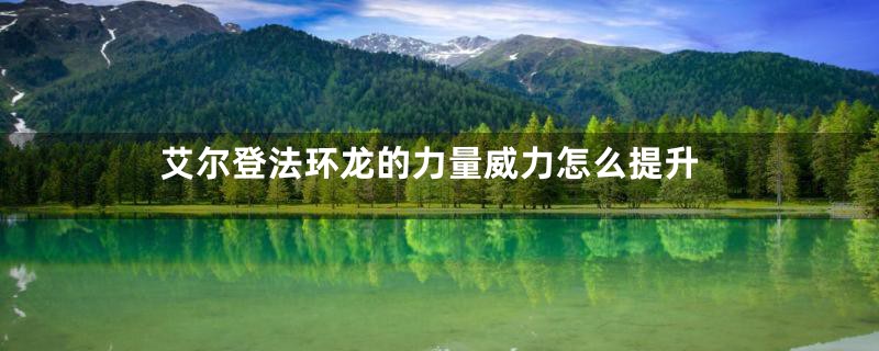 艾尔登法环龙的力量威力怎么提升