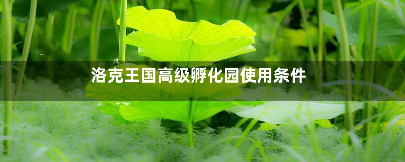 洛克王国高级孵化园使用条件