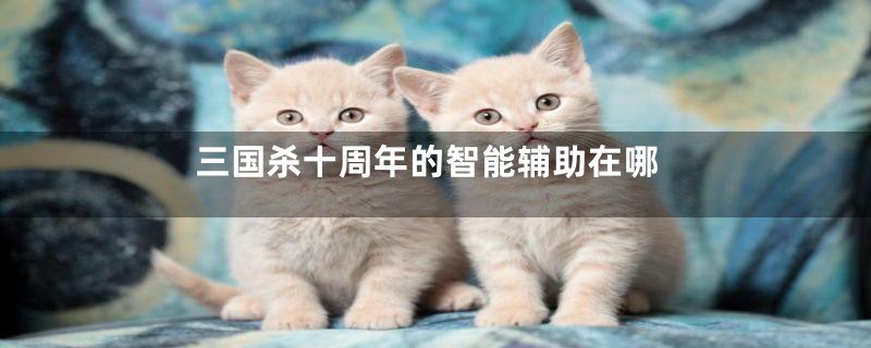 三国杀十周年的智能辅助在哪