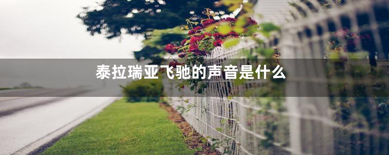 泰拉瑞亚飞驰的声音是什么