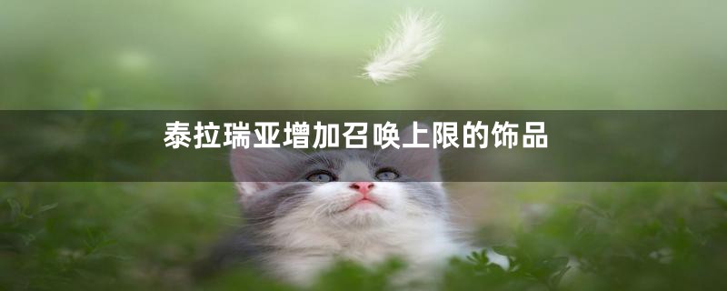 泰拉瑞亚增加召唤上限的饰品