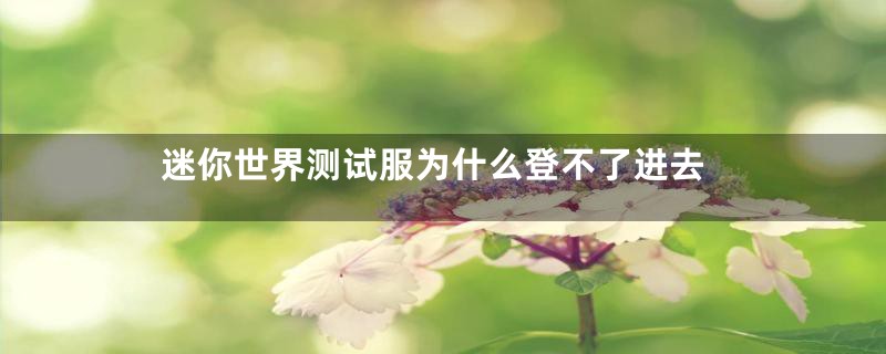迷你世界测试服为什么登不了进去
