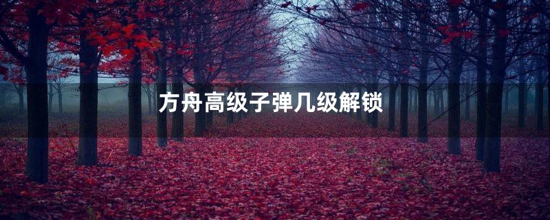 方舟高级子弹几级解锁