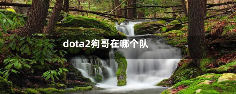 dota2狗哥在哪个队