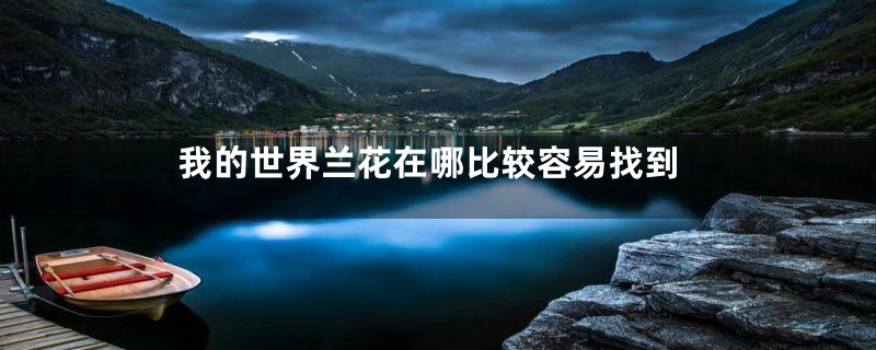 我的世界兰花在哪比较容易找到