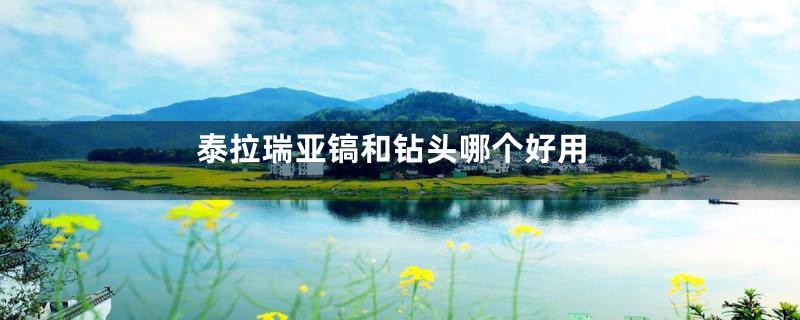 泰拉瑞亚镐和钻头哪个好用