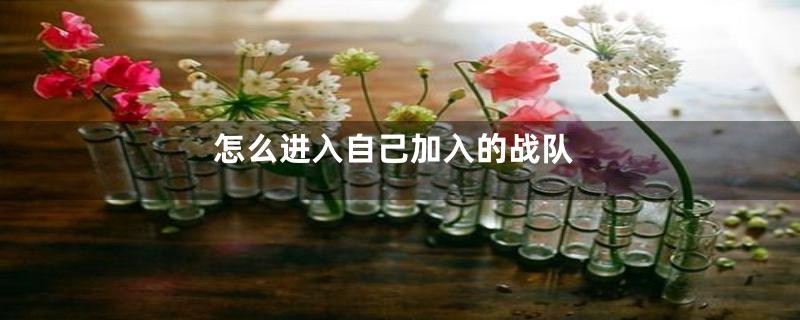 怎么进入自己加入的战队