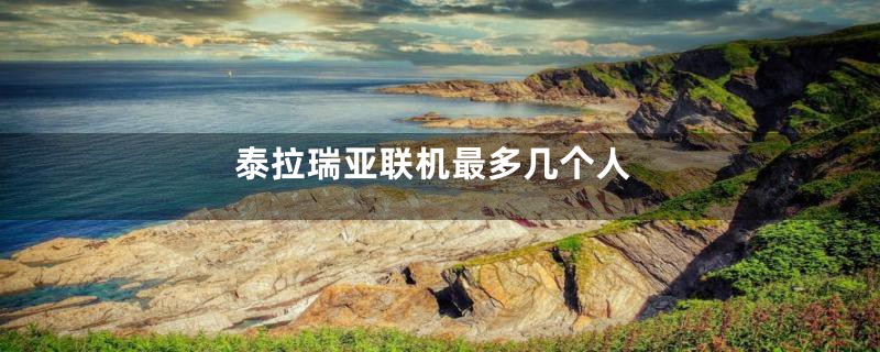 泰拉瑞亚联机最多几个人