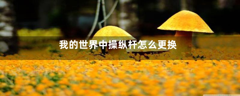 我的世界中操纵杆怎么更换