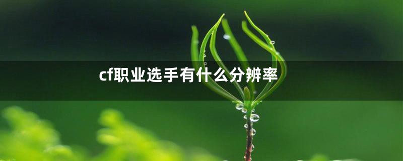 cf职业选手有什么分辨率