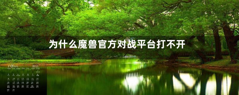 为什么魔兽官方对战平台打不开