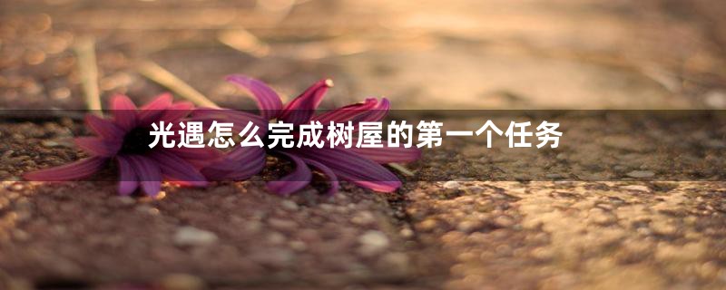 光遇怎么完成树屋的第一个任务
