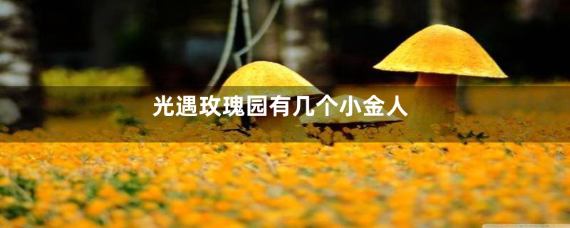 光遇玫瑰园有几个小金人