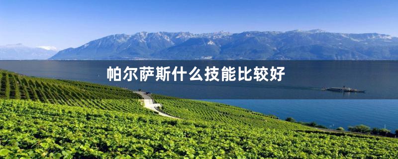 帕尔萨斯什么技能比较好