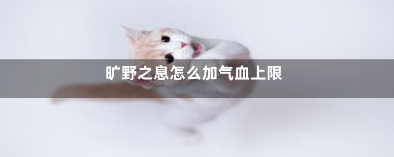 旷野之息怎么加气血上限