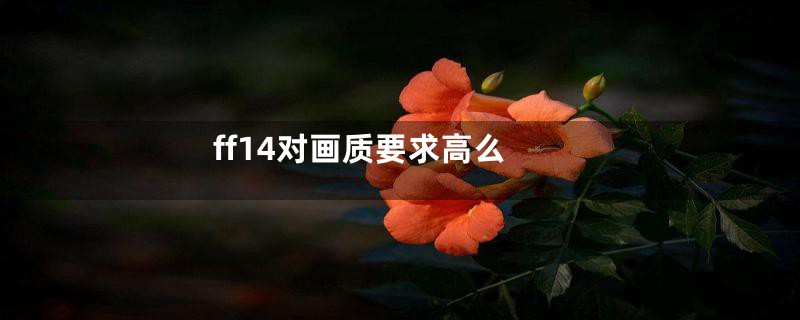 ff14对画质要求高么
