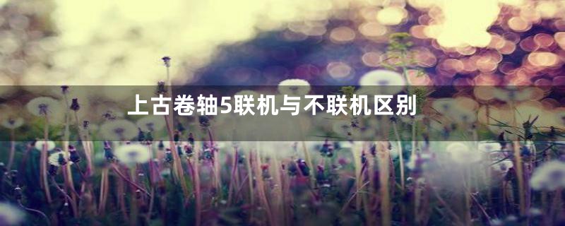 上古卷轴5联机与不联机区别