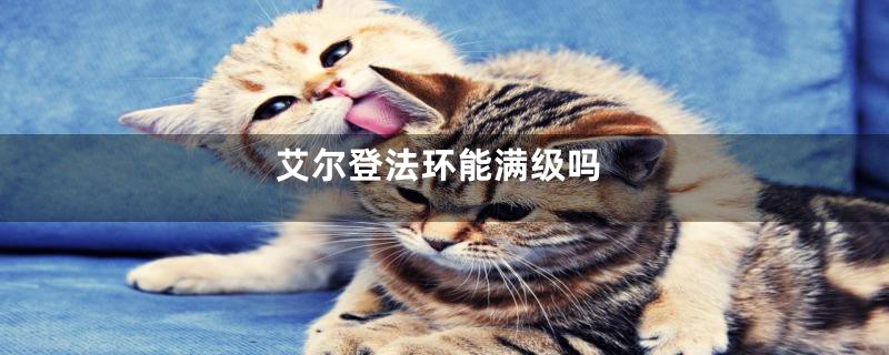 艾尔登法环能满级吗
