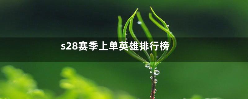 s28赛季上单英雄排行榜