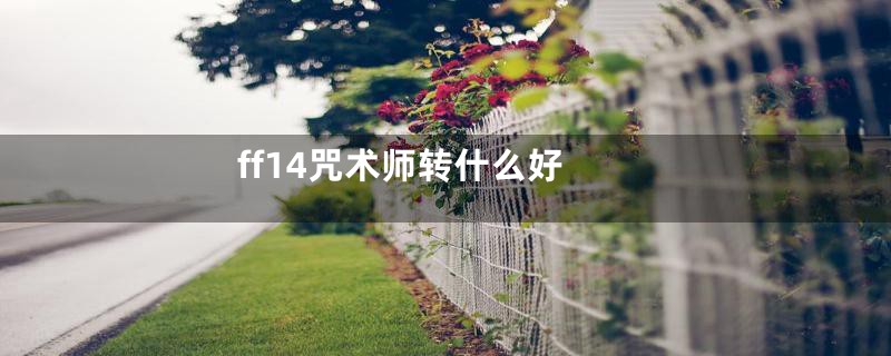ff14咒术师转什么好