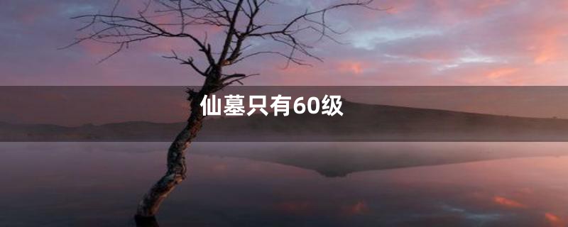 仙墓只有60级