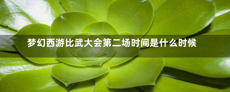 梦幻西游比武大会第二场时间是什么时候