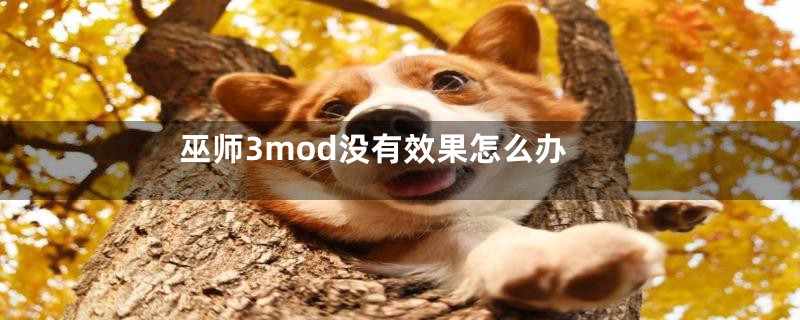 巫师3mod没有效果怎么办
