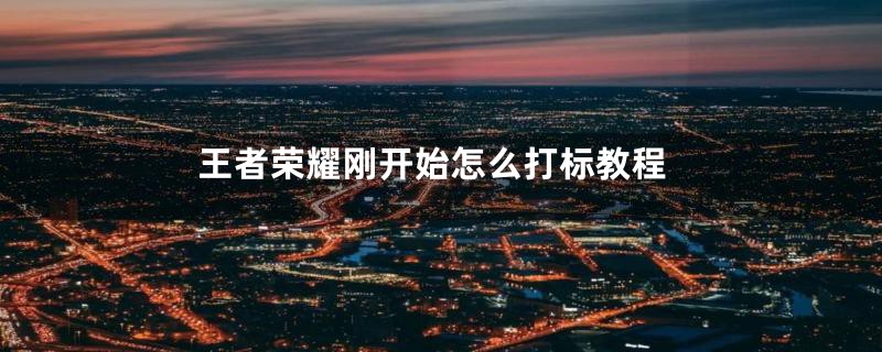 王者荣耀刚开始怎么打标教程