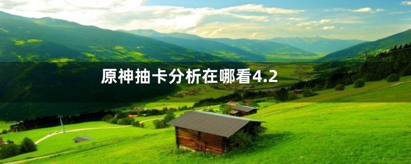 原神抽卡分析在哪看4.2